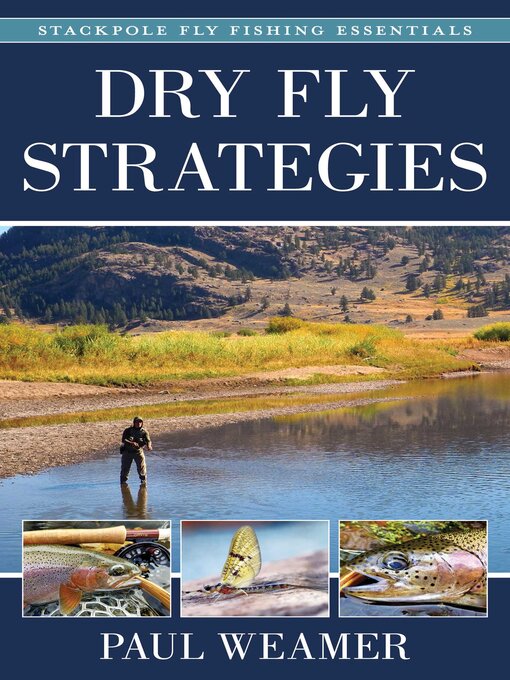 Cover image for Dry Fly Strategies